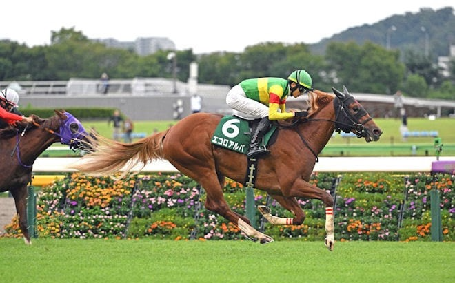 Saudi Arabia Royal Cup 2026 preview featuring Ecoro Alba crossing the finish line at Tokyo Racecourse in 2025