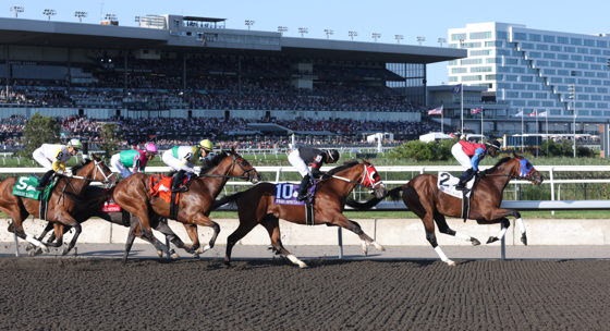 MyRacehorse Canada launch through the Woodbine Entertainment partnership