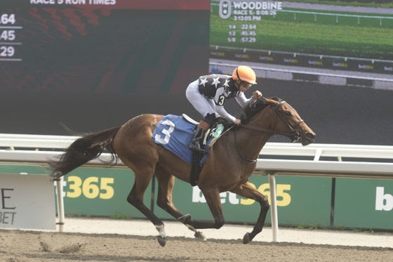 Woodbine stakes preview featuring Lamirada and Unbridled Freedom at Woodbine Racecourse.