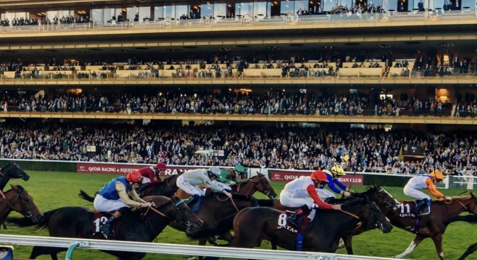 Auteuil racecards 11 October 2026 French racing at Auteuil Racecourse