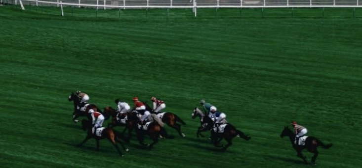 Fontainebleau racecards 12 October 2026 French racing at Fontainebleau Racecourse