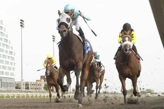 My Covenant wins the inaugural Sophomore Stakes at Woodbine with Pietro Moran aboard