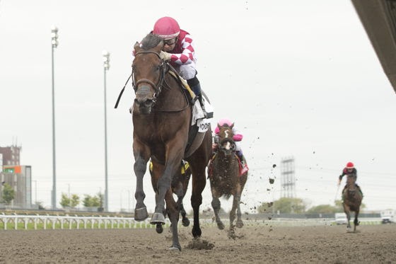 Odenkirk and Lamirada win the Display Stakes and Glorious Song Stakes at Woodbine on October 11, 2026
