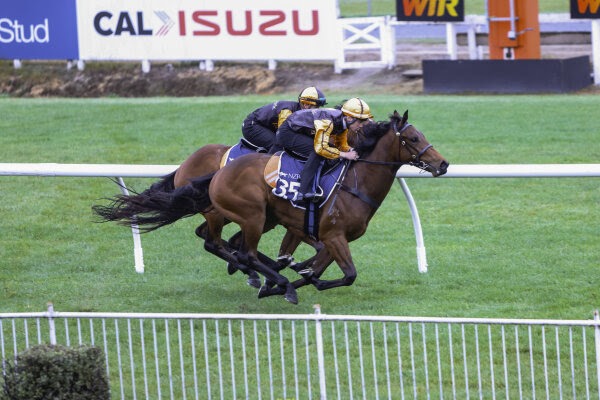 Karaka graduates Satono Glow, Fraudster and Zanardi headline recent racing successes as NZB Breeze Ups begin at Te Rapa