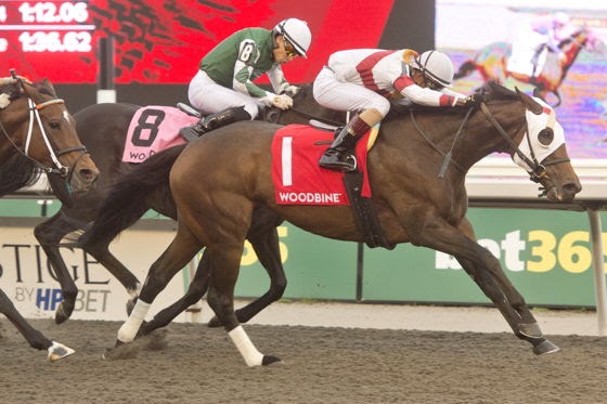 Woodbine Stakes Victories featuring Raiding Party and Crystal Visions after their stakes wins at Woodbine