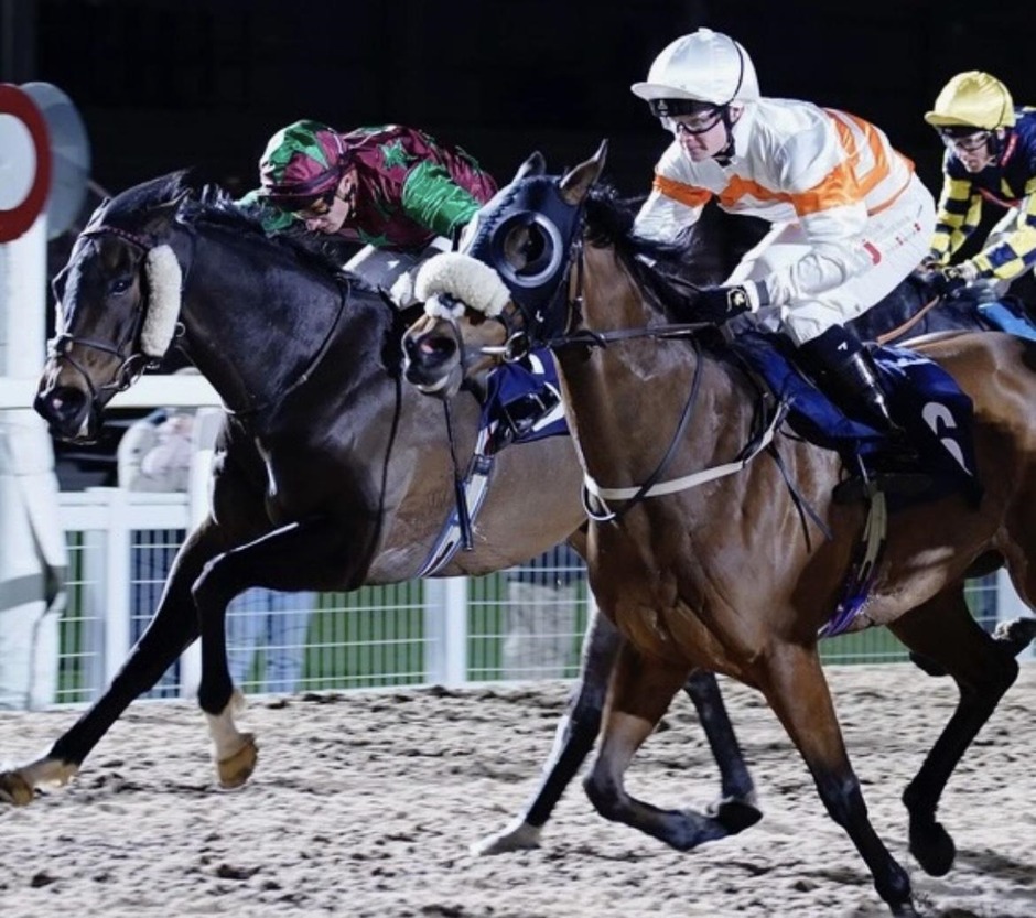 Southwell racecards 13 October 2026 National Hunt racing at Southwell Racecourse