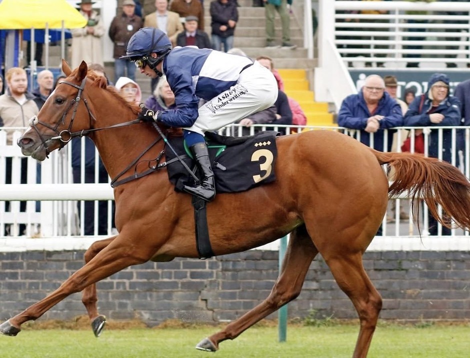 Nottingham racecards 14 October 2026 flat turf racing at Nottingham Racecourse