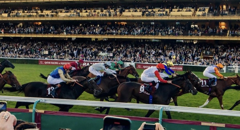 Saint-Cloud racecards 14 October 2026 French flat racing at Saint-Cloud Racecourse