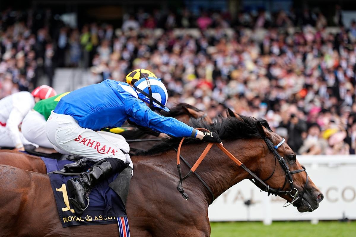 Calandagan prepares for the Champion Stakes at Ascot on British Champions Day