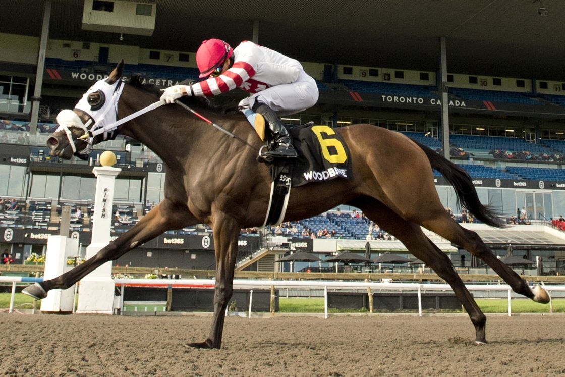 Souper Survivor and Stunningly Perfect ahead of the Frost King Stakes and South Ocean Stakes at Woodbine