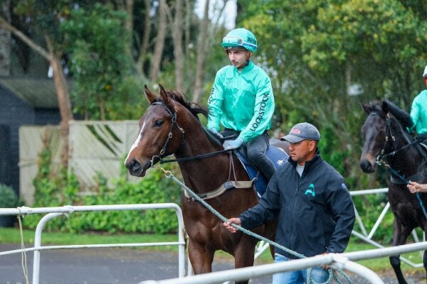 NZB Ready to Run Sale 2026 two-year-olds during breeze-up preparations at Te Rapa Racecourse
