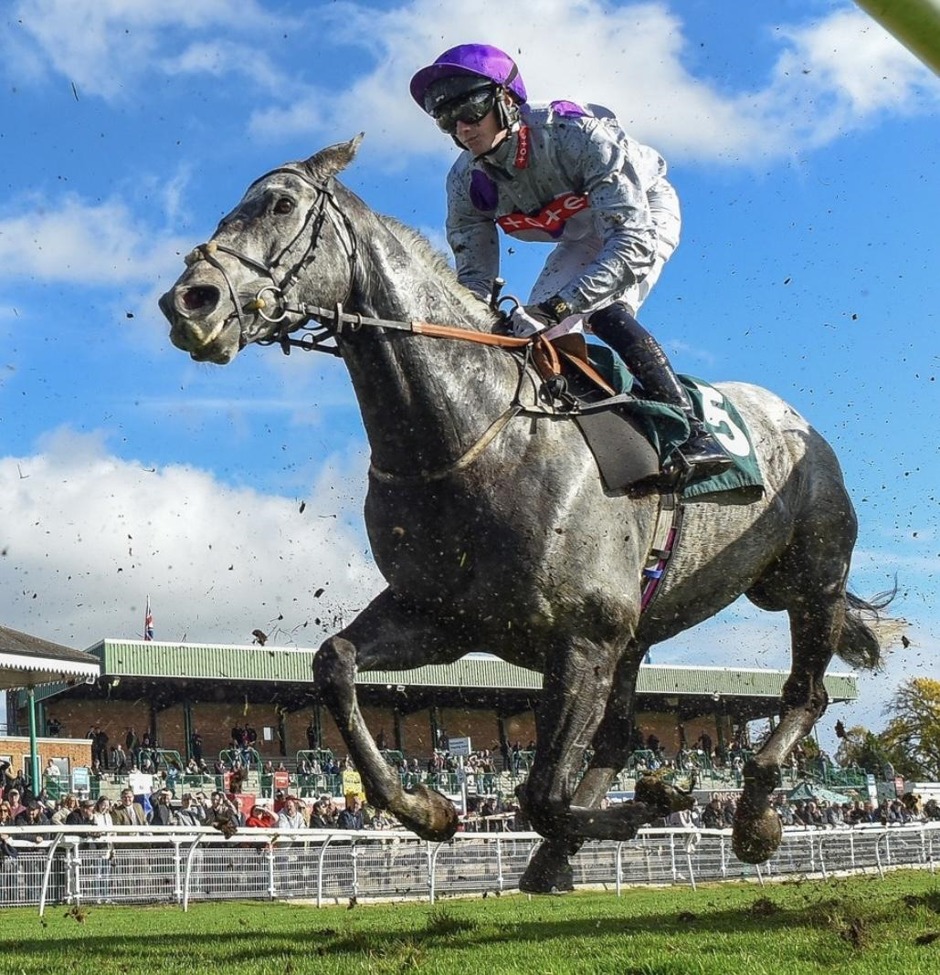 Catterick Bridge racecards 17 October 2026 at Catterick Bridge Racecourse