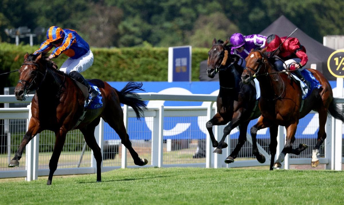 Constitution River and Kalpana ahead of British Champions Day at Ascot