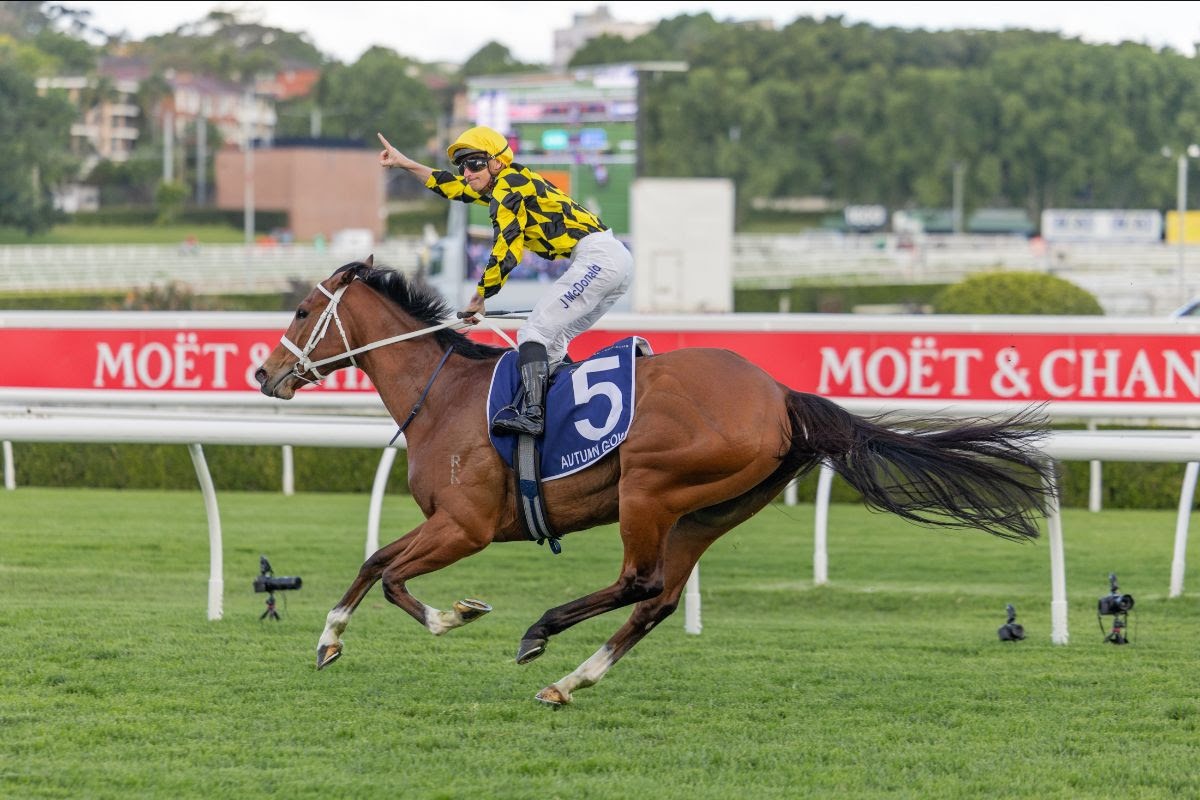 Autumn Glow wins the King Charles III Stakes at Randwick Racecourse