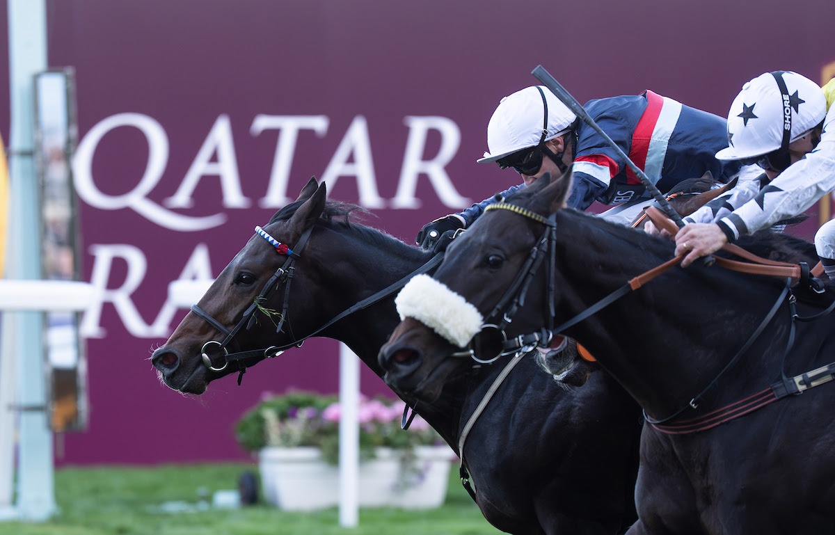 Minnie Hauk Group 1 win at Ascot under Ryan Moore