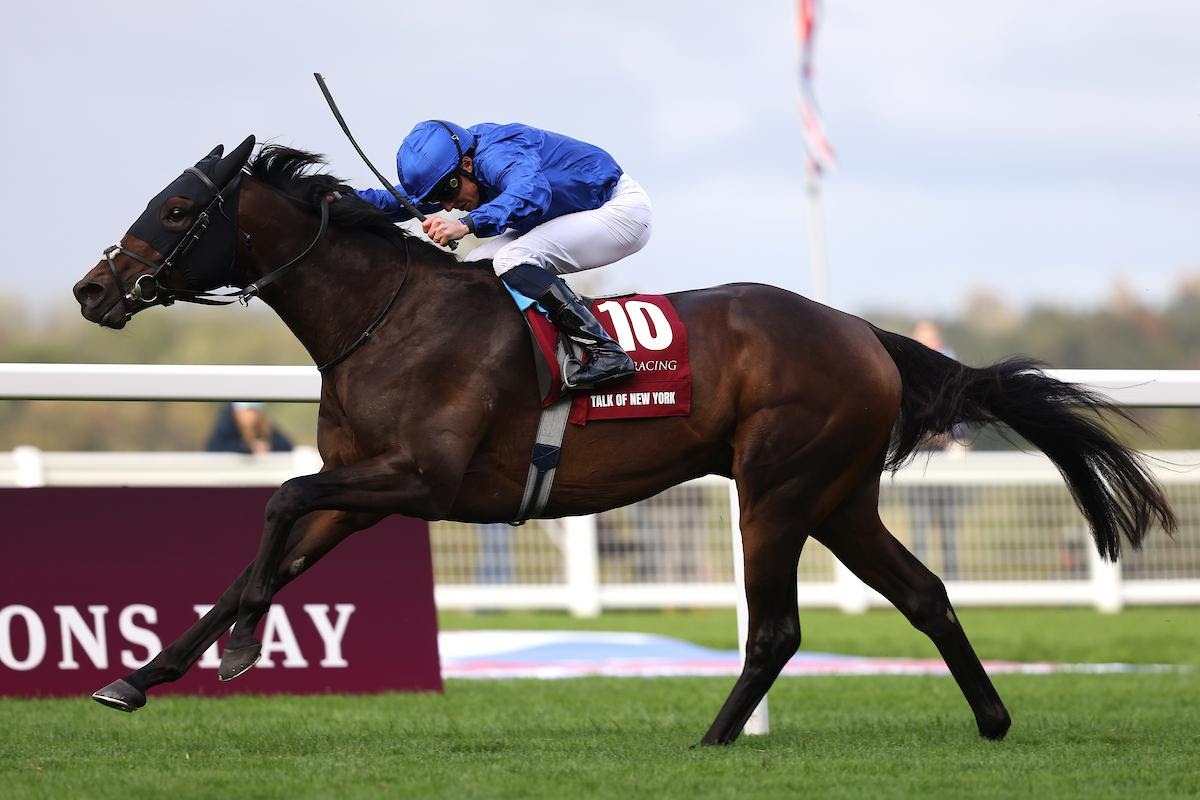 Ombudsman wins the Qatar Racing Champion Stakes at Ascot under William Buick