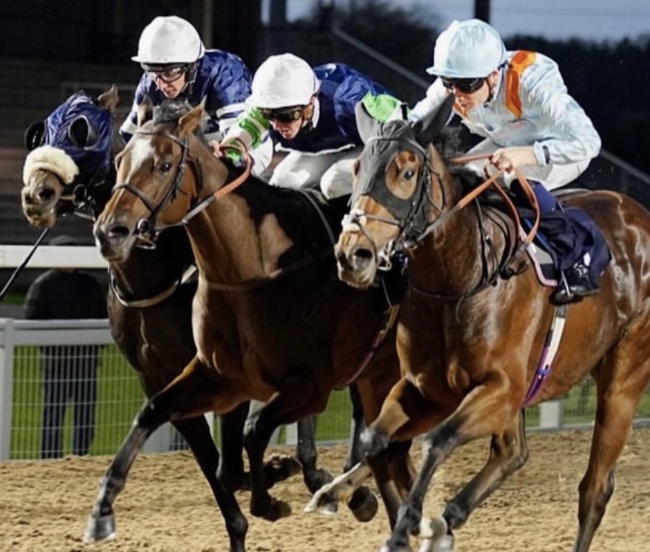 Southwell racecards 19 October 2026 at Southwell Racecourse