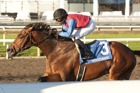 Fire and Wine wins the Ontario Derby 2026 at Woodbine Racecourse