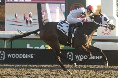 Magical Trickster and Stunningly Perfect celebrate their stakes victories at Woodbine on October 18, 2026