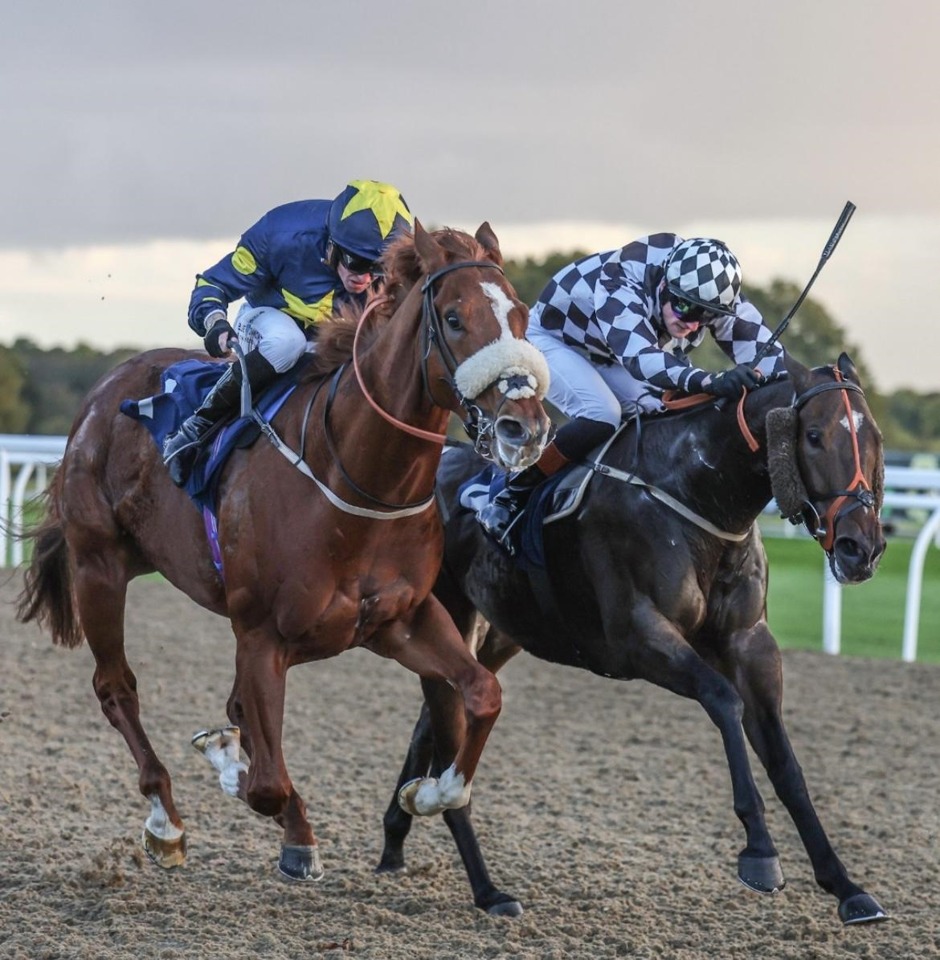 Newcastle all-weather racing racecards for 20 October 2026