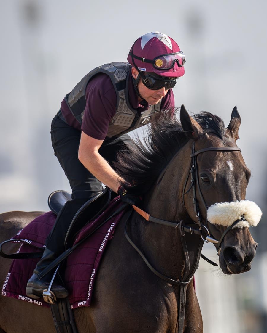Tadhg O’Shea prepares for his 25th season of horse racing in the UAE
