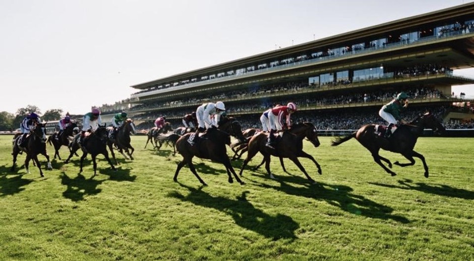 Auteuil jump racing racecards for 22 October 2026