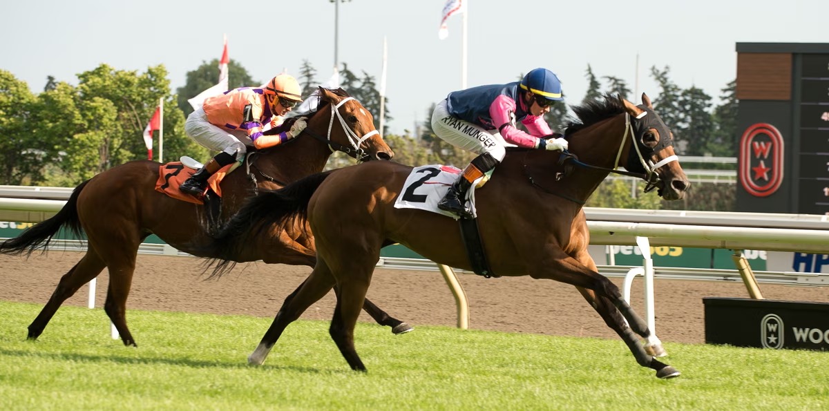 Just Magnificent Eternal Stakes contender at Woodbine
