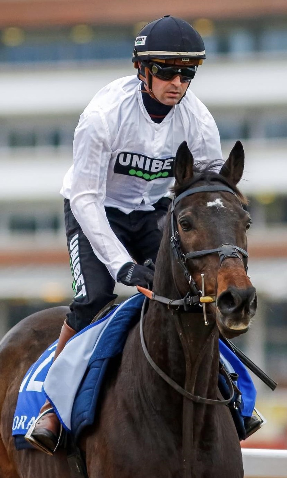 Newbury Flat racing racecards for 23 October 2026