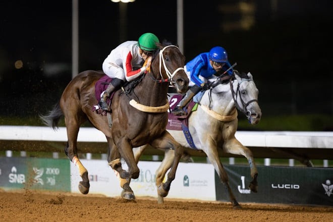 King Abdulaziz race meeting, Wanaameen, Saudi Arabian horse racing, King Abdulaziz Racecourse