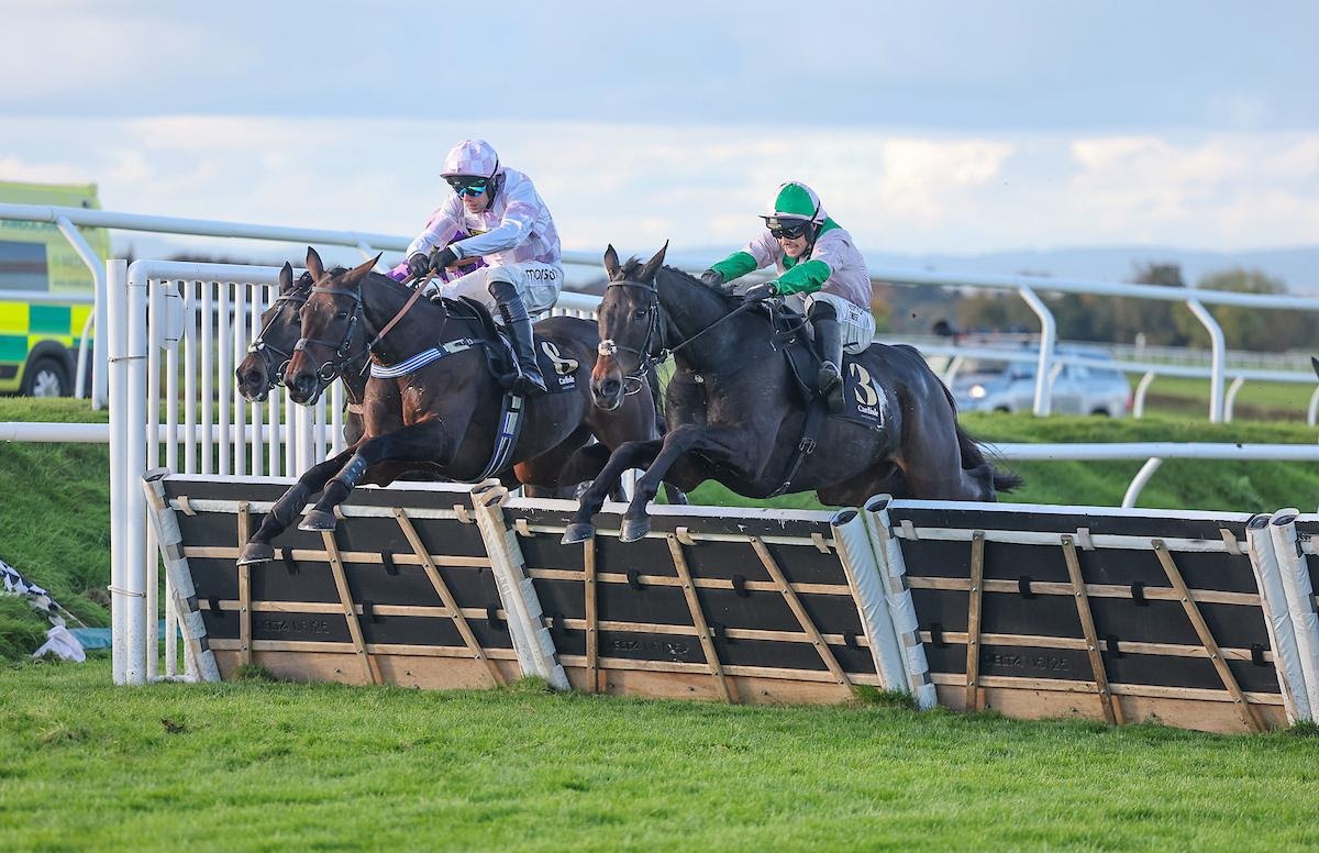 Wilful challenges Golden Ace in the Carlisle Panoramic Hurdle
