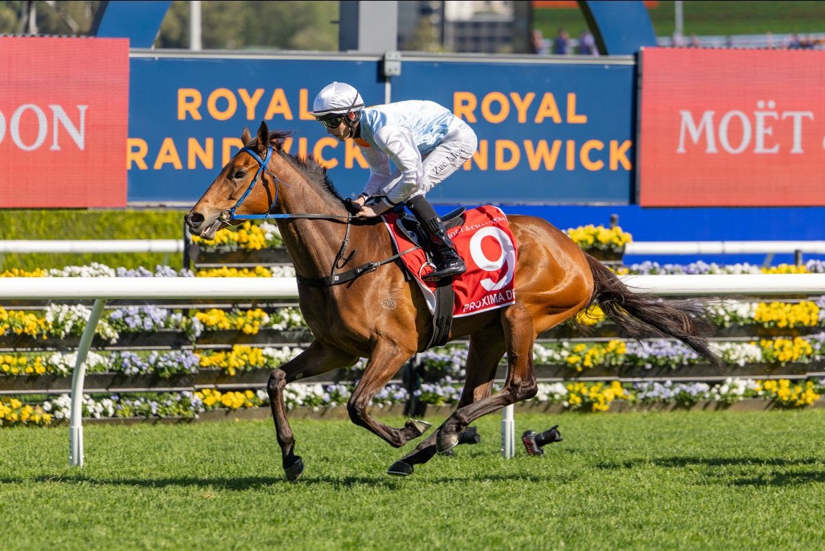 Proxima Dea Spring Champion Stakes winner at Randwick with trainer David Payne and jockey Zac Lloyd