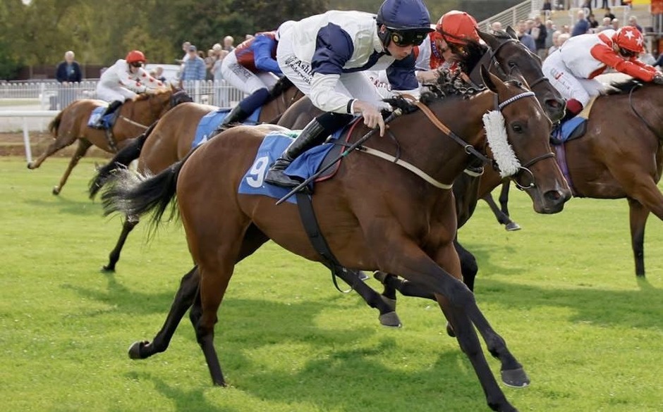 Leicester Flat racing racecards for 26 October 2026