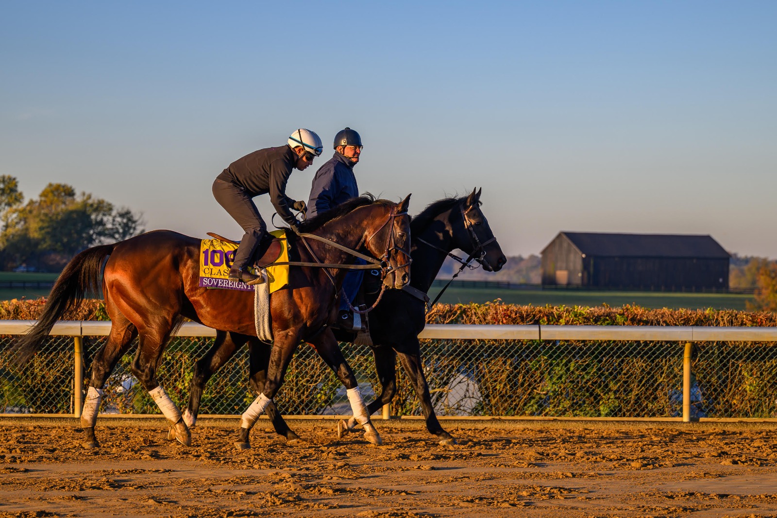 Sovereignty during preparations for the Breeders’ Cup Classic at Keeneland Race Course