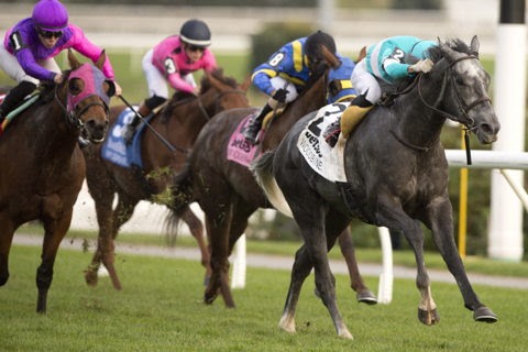 Ciunas wins the 2026 Overskate Stakes at Woodbine under jockey Pietro Moran