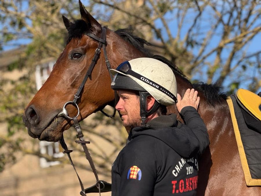 Ross Burdon prepares Mesaafi for the Dubai Racing Carnival at Meydan