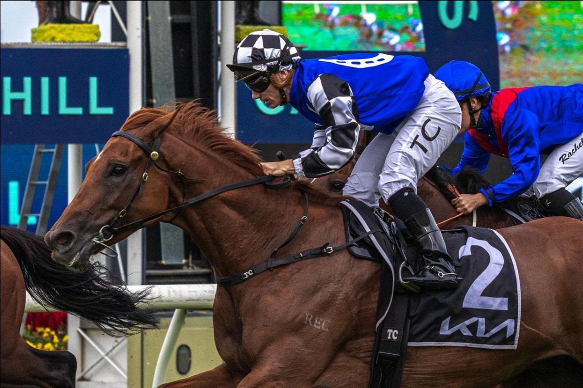 Melbourne Cup dream fulfilled for five new Vauban owners ahead of the race at Flemington Racecourse