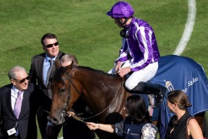 Irish Runners at Breeders’ Cup 2026 preparing for the international racing championships at Keeneland