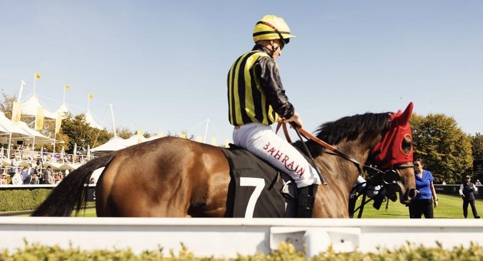 Goodwood racecards 11 October 2026 flat turf racing at Goodwood Racecourse