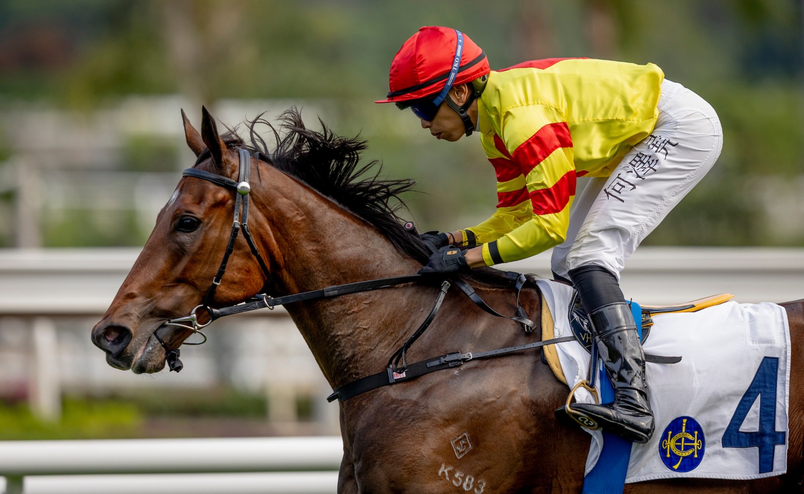 Hot Delight Sha Tin National Day Raceday