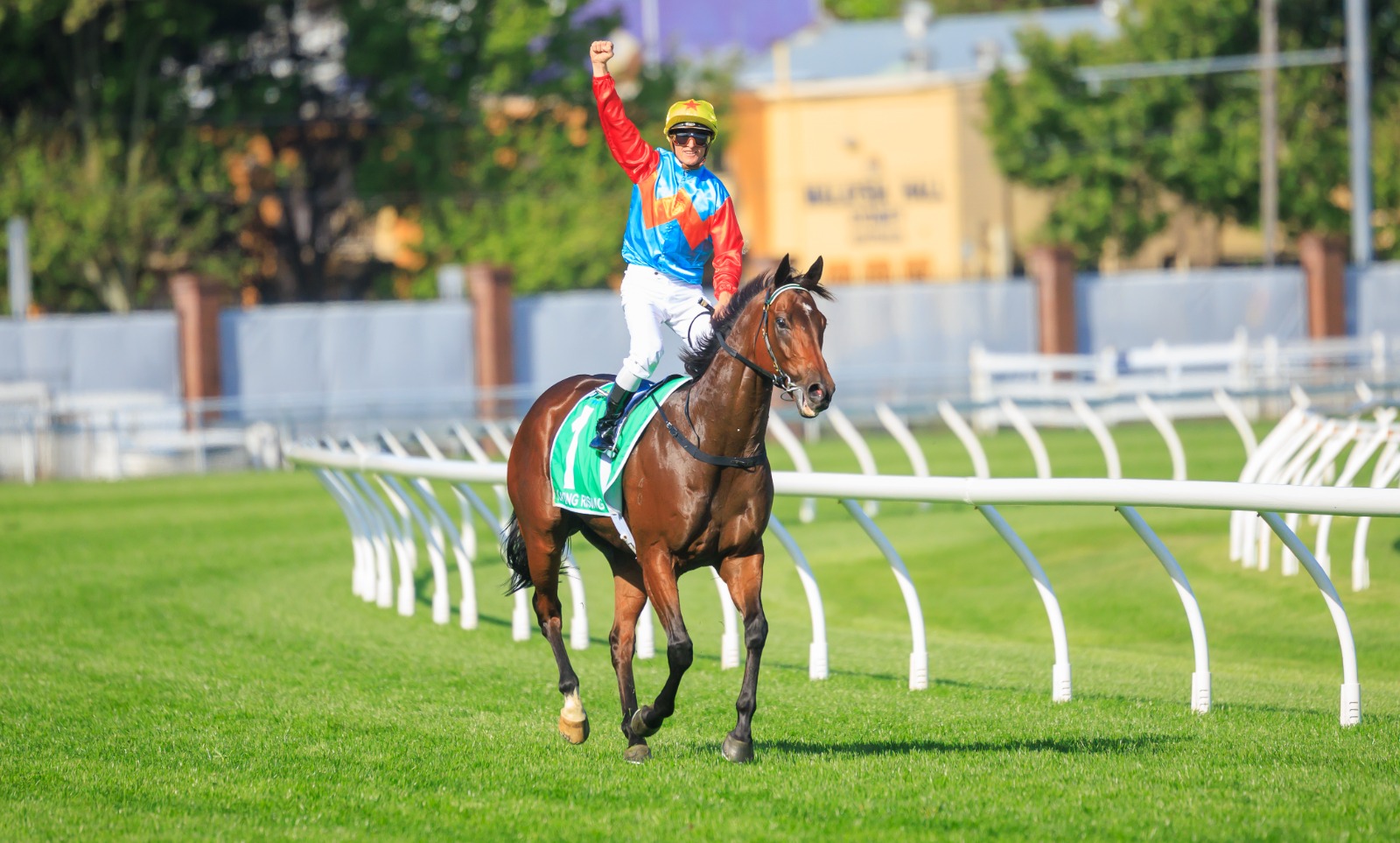 Ka Ying Rising prepares for Randwick barrier trial ahead of The Everest