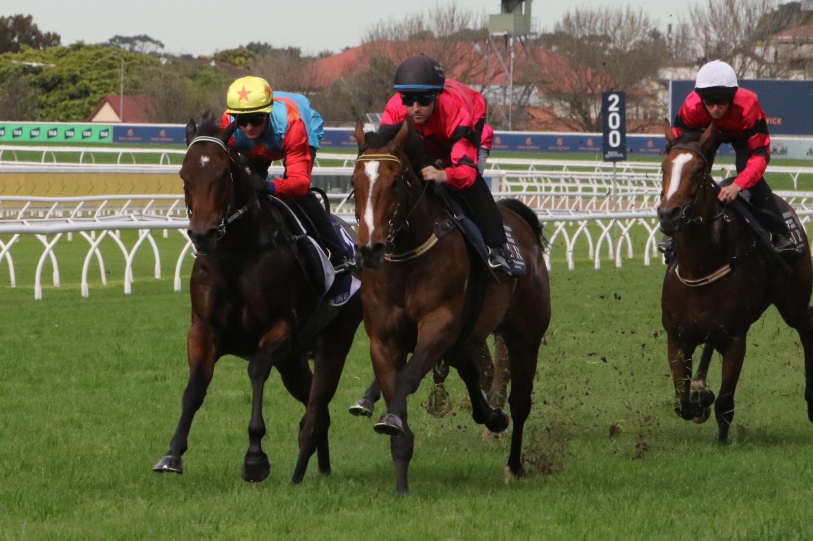 Ka Ying Rising during his 1000m barrier trial at Royal Randwick ahead of The Everest 2026