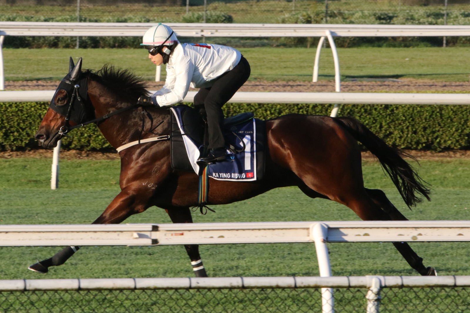 Ka Ying Rising prepares for The Everest 2026 at Randwick Racecourse