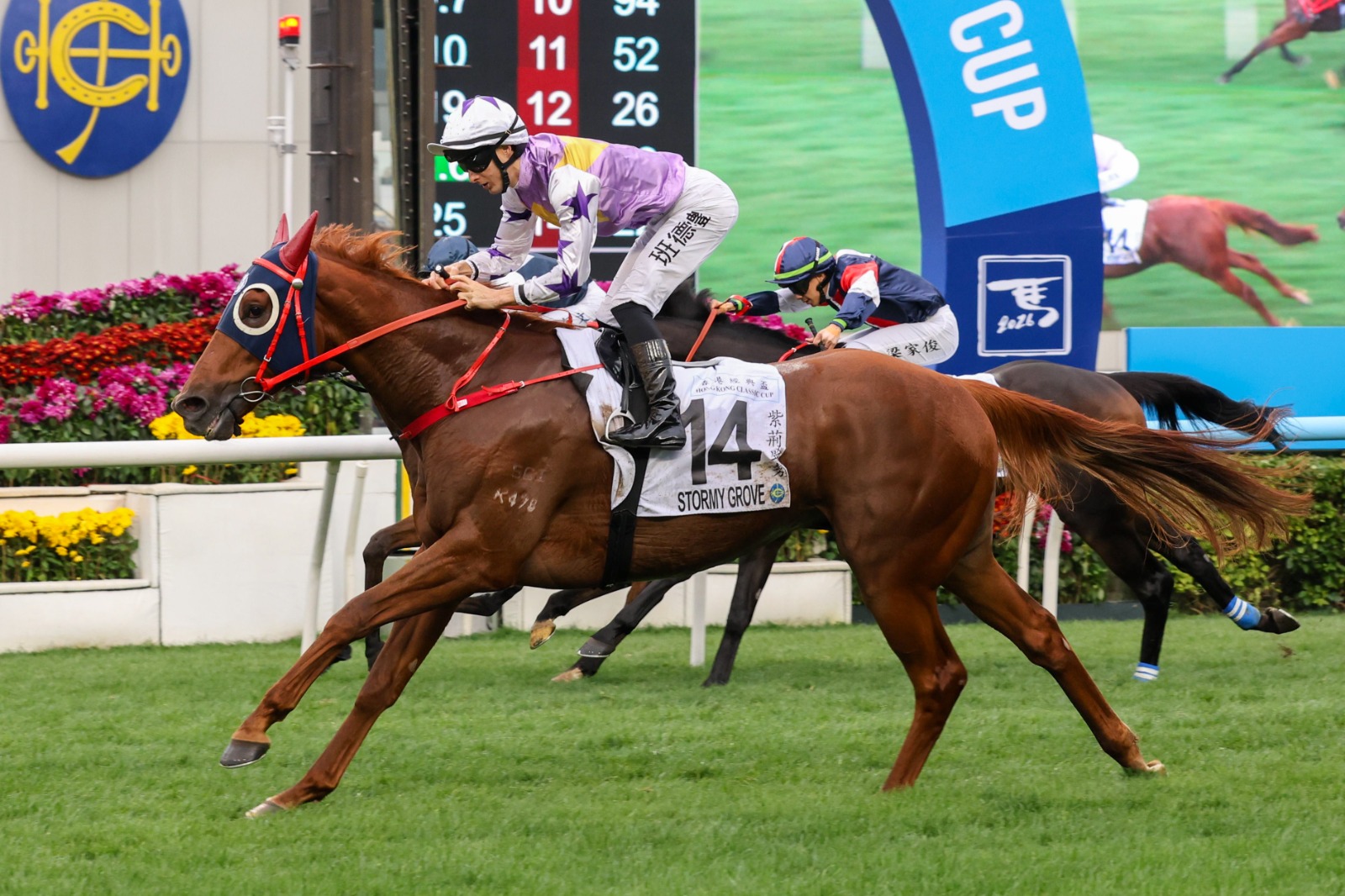 Stormy Grove prepares for the Sha Tin Trophy Handicap at Sha Tin