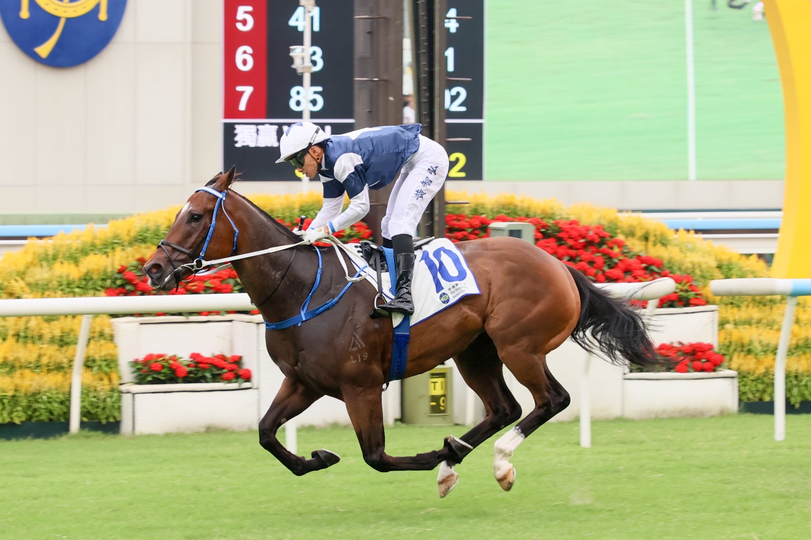 Sky Vino Sha Tin Class 2 challenge for Caspar Fownes