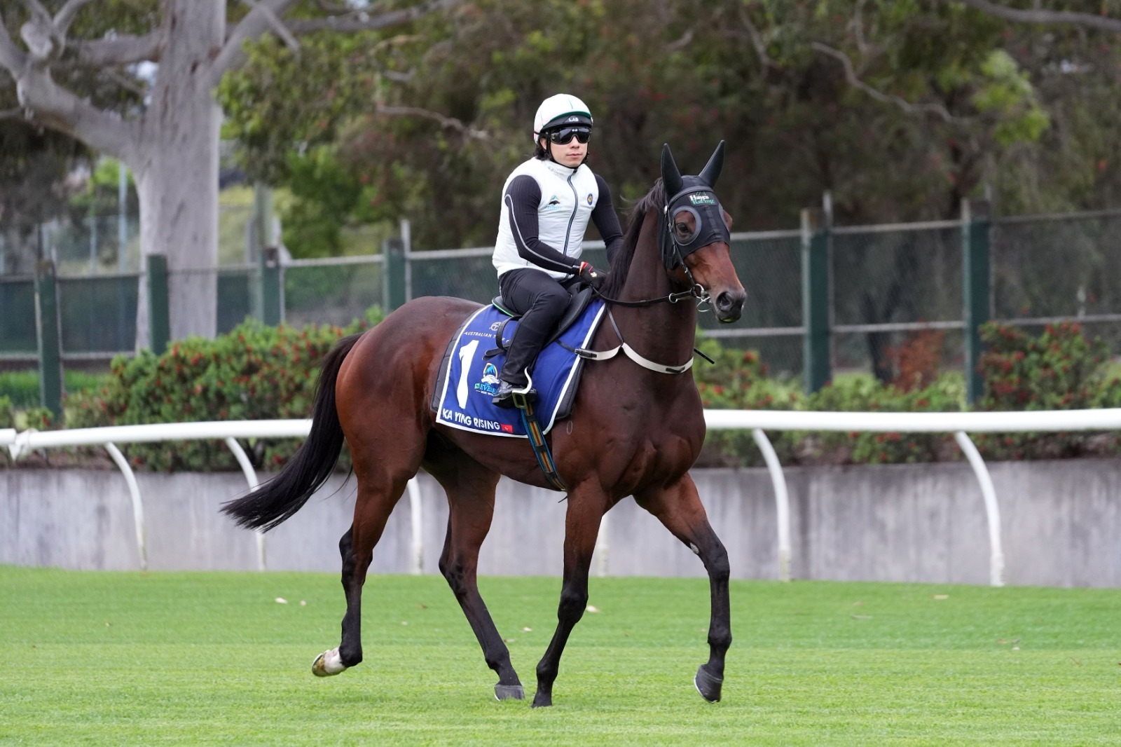 Chris Waller prepares Joliestar and Angel Capital for The Everest 2026 against Ka Ying Rising