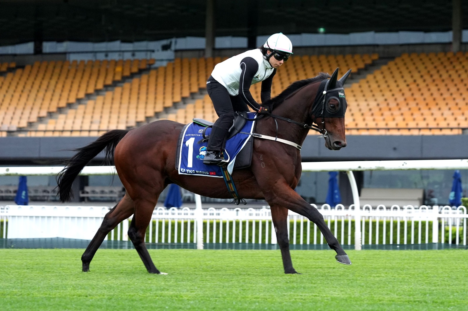 Tempted and Ka Ying Rising ahead of The Everest 2026 at Randwick Racecourse