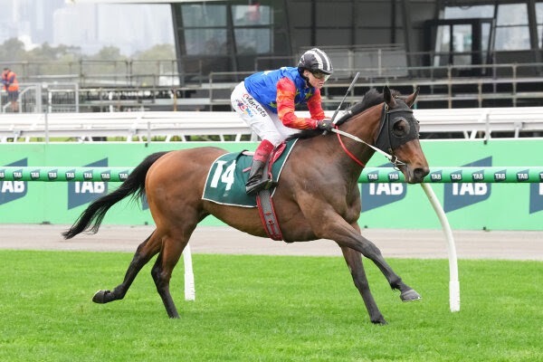 Inglewood Stud Ready to Run Sale prospects and Miss Waititi