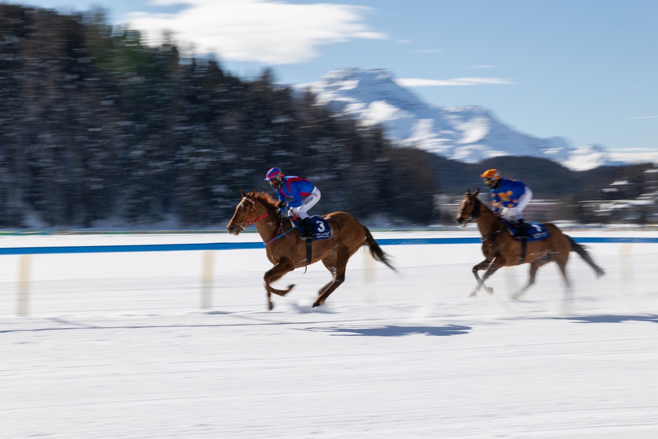 White Turf St. Moritz 2027 racing at St. Moritz Racecourse on frozen Lake St. Moritz