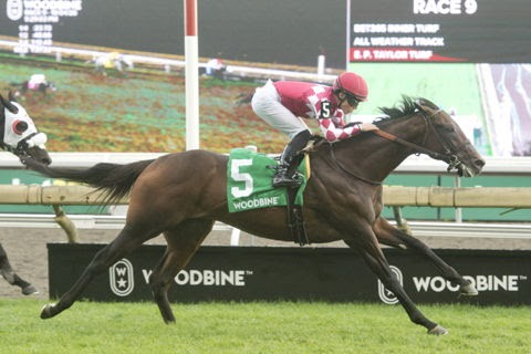 Canada wins the Cup & Saucer Stakes at Woodbine