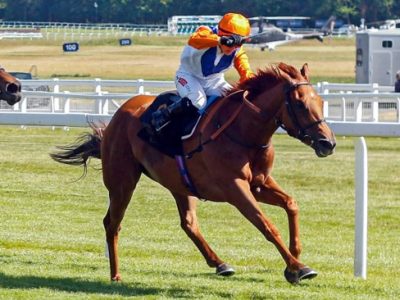 Pat Dobbs Richard Hannon double Newbury Race Results 1 June